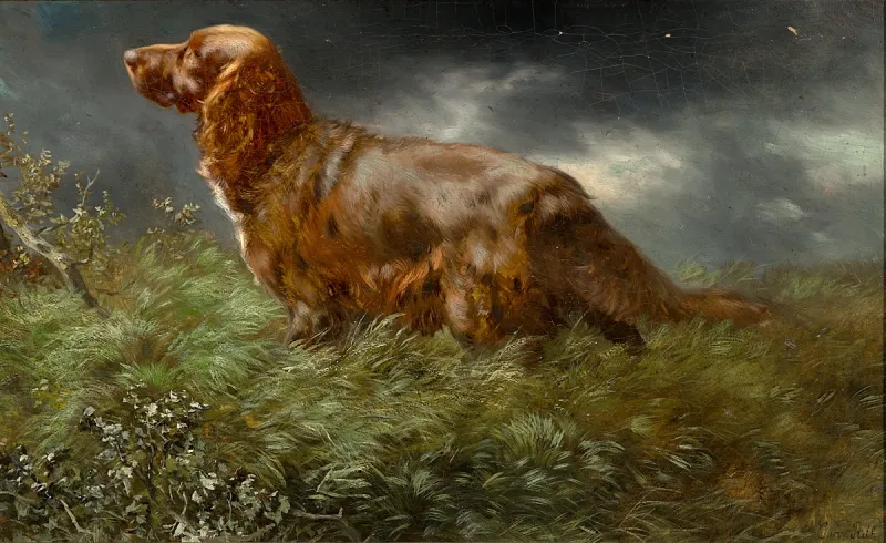 269. Caspar von Reth 269. Caspar von Reth