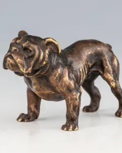 Bécsi bronz bulldog