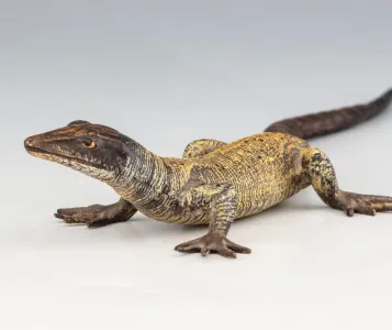 Bécsibronz figurális szobor