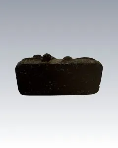 Vasöntvény oroszlán