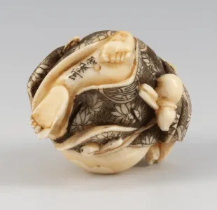 Sle_Nau_25_376 Sle_Nau_25_376